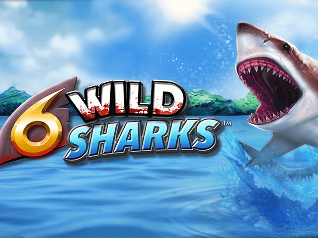 Игровой шарк. Wild Shark игровой автомат. Wild Shark incription. Wild Shark (Amatic). Wild Shark Slot logo PNG.